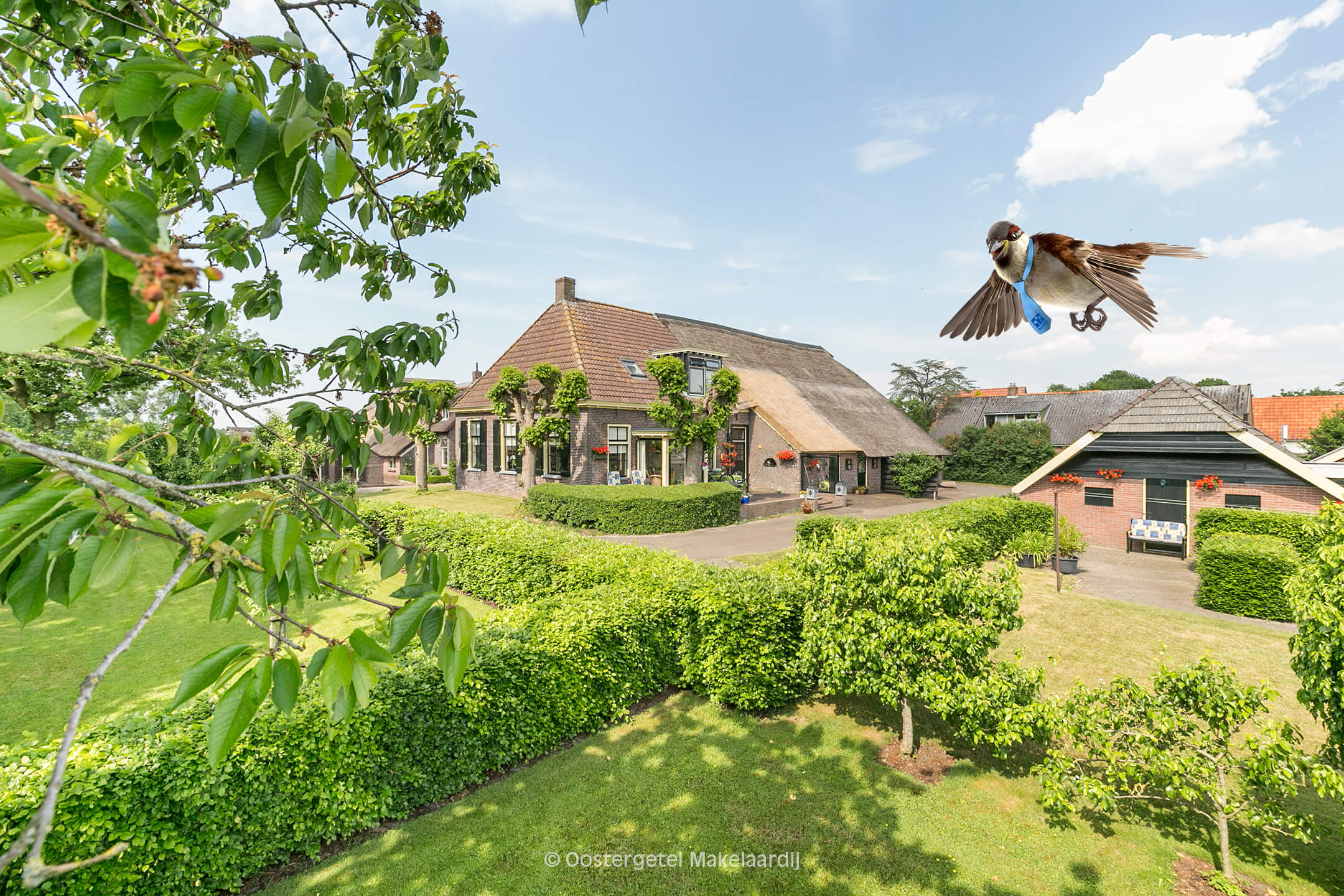 Huis kopen in Meppel en omgeving met Oostergetel Makelaardij